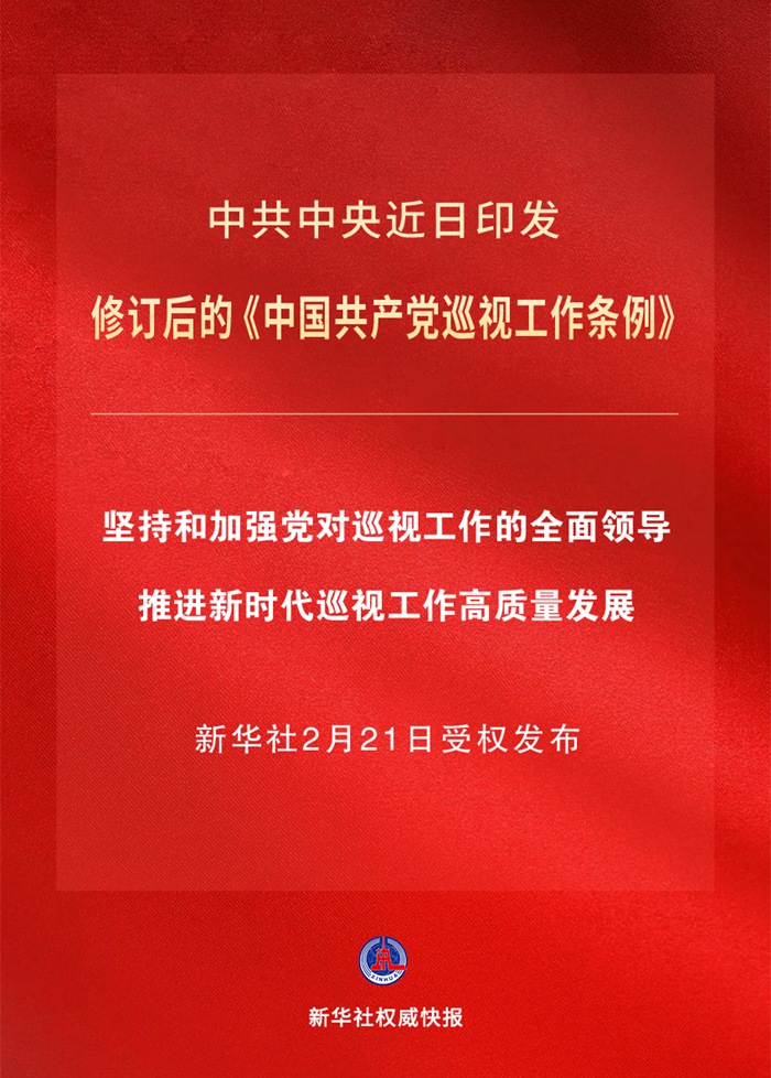 最新准则与条例解读，引领未来的决策方向指南