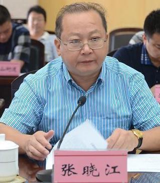 张晓江持续闪耀，最新动态瞩目亮相