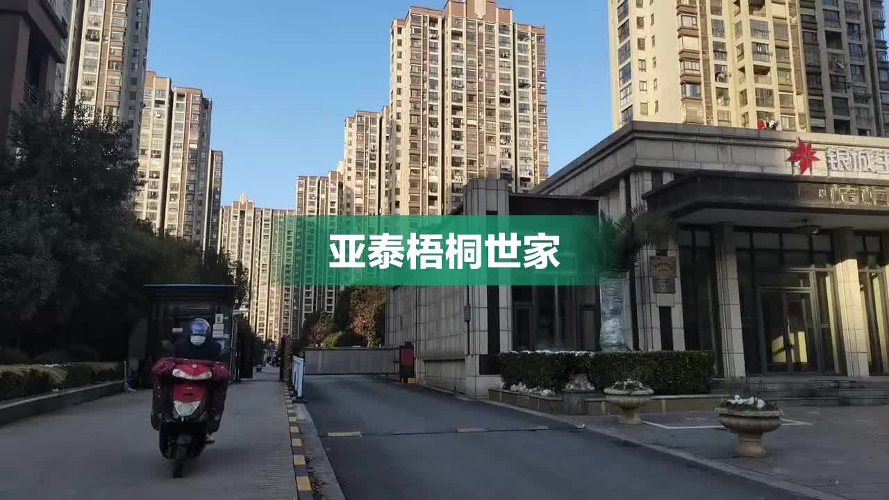 梧桐世家，传承创新共融，引领时尚潮流新动态